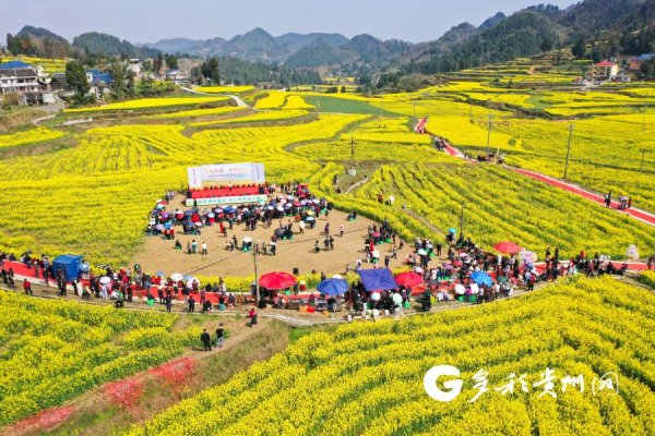 遵义播州：花海长桌聚民心