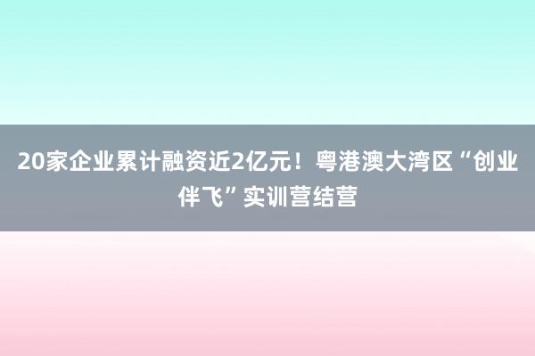 20家企业累计融资近2亿元！粤港澳大湾区“创业伴飞”实训营结营