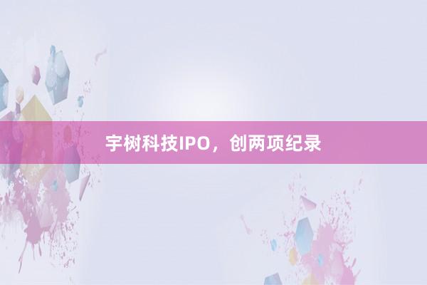 宇树科技IPO，创两项纪录