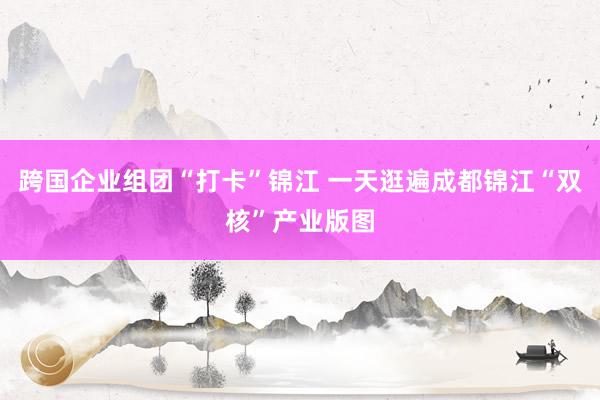 跨国企业组团“打卡”锦江 一天逛遍成都锦江“双核”产业版图