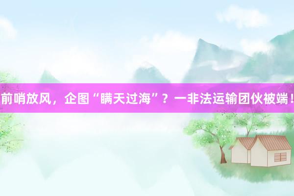 前哨放风，企图“瞒天过海”？一非法运输团伙被端！