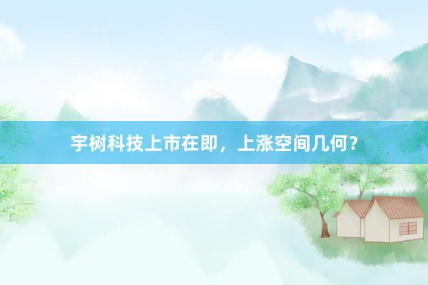 宇树科技上市在即，上涨空间几何？