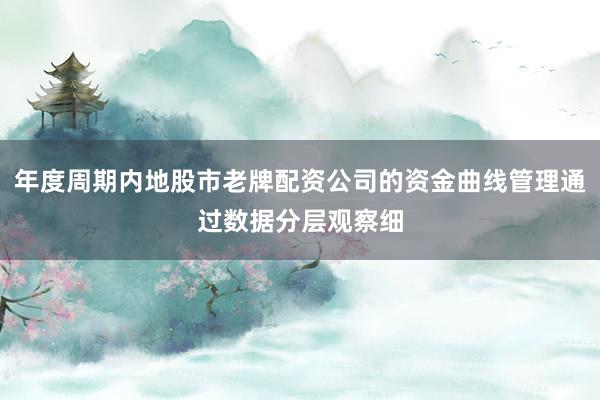 年度周期内地股市老牌配资公司的资金曲线管理通过数据分层观察细